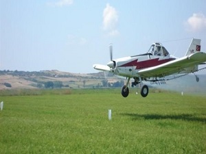 Uçakla ilaçlama organik tarımı tehdit ediyor
