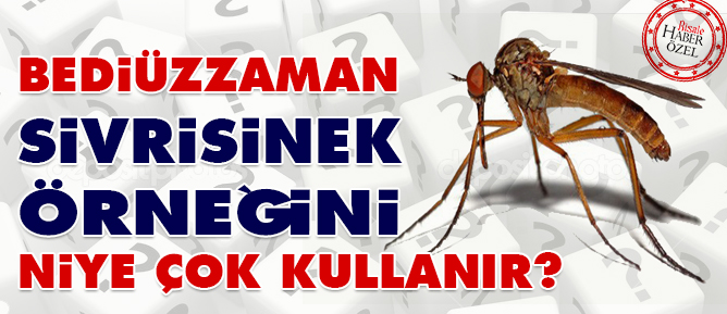 Bediüzzaman sivrisinek örneğini niye çok kullanır?