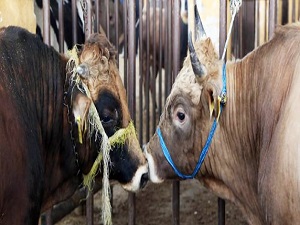 Bu uyarıya dikkat! Arada büyük fark var