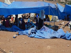 Dünya genelinde sığınmacılar 51 milyona ulaştı