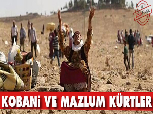 Kobani ve mazlum Kürtler
