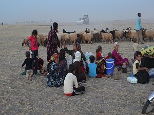 Kobani'den Kaçanlar İçin İlk BM Yardımı Türkiye'ye Ulaştı