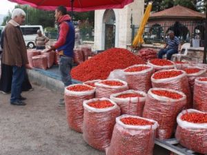 Kuşburnu Satışları Zirve Yaptı