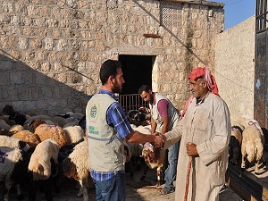 İHH, bayramda Gazze ve Suriye için seferber olacak