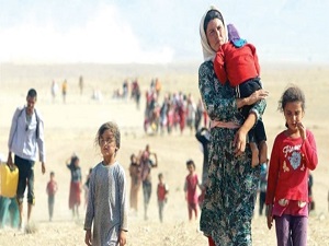 5 milyon Iraklı çaresiz