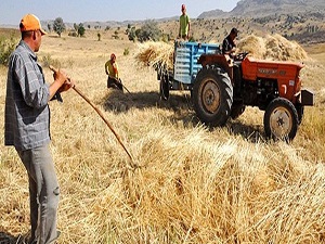 Çiftçiler dikkat! 1 Ekim'e kadar mutlaka yaptırın