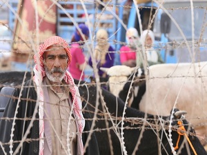 Suriyeli Kürtlerin Yumurtalık'tan girişleri başladı