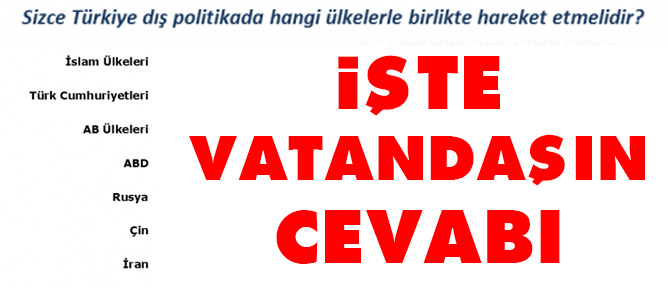 Vatandaş'ın dış politikada iş birliği tercihi belli oldu