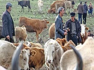 Et fiyatlarında bayram ertesi yükseliş olmaz'