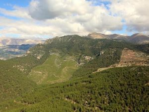 Toroslarda Orman Yangınlarına 2 Dakika Daha Erken Ulaşılıyor