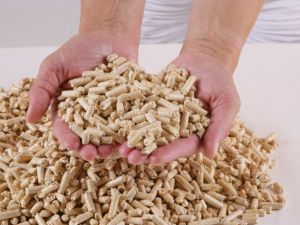 Orman Atıklarından Enerji