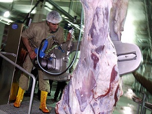 Kurbanda kurallara uymayanlara ceza yağacak