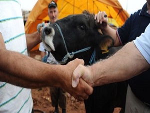 Bakanlık uyardı: İhbar edin!