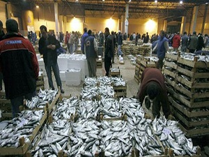 Su ürünleri ihracatı 500 milyon doları aştı