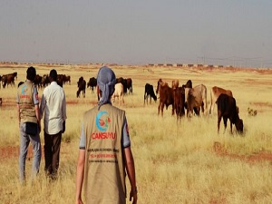Cansuyu kurban emanetlerini yerlerine ulaştırdı