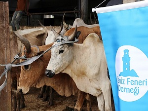 Deniz Feneri 32 ülkede kurban kesti