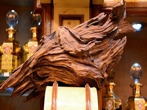 Hacılar en çok onu tercih ediyor