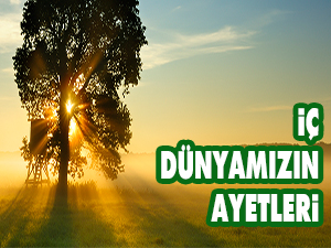 İç dünyamızın ayetleri