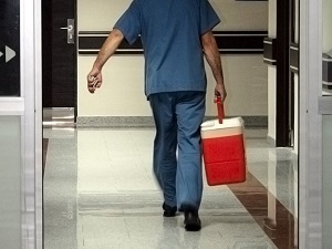 Beş yılda 30 bin kişiye organ nakli yapıldı