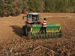 Yozgat'ta Hububat Ekimi Başladı