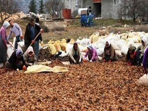 Ekmeklerini sedirden çıkartıyorlar