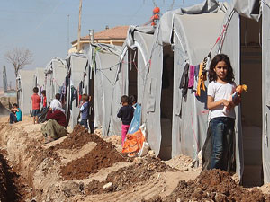 Kobanili Ailelere 150 Kolilik Mama ve İlaç Yardımı