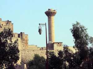 Diyanet savaşlarda yıkılan camileri inşa edecek