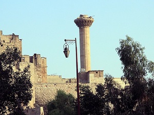 TDV savaşlarda yıkılan camileri yeniden inşa edecek