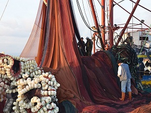 Balıkçılar, Vira Bismillah için gün sayıyor