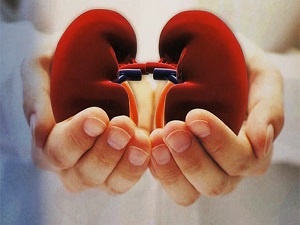 6-7 kişiden birinde böbrek hastalığı görülüyor