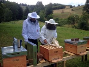 Bosna Hersek'te Sel Felaketinden Etkilenen Arıcılara Destek