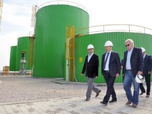 Tavuk Gübresinden Elektrik Enerjisi Elde Edilecek