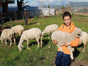 Dünya Gıda Günü'nün teması aile çiftçiliği