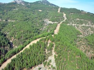 Manisa Ormanları Yardop'la Korunacak