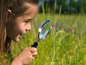 Merakı bastırılmış çocuk öğrenemez