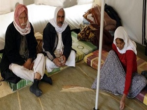 Irak'taki sığınmacı Yezidilerin kış hazırlığı