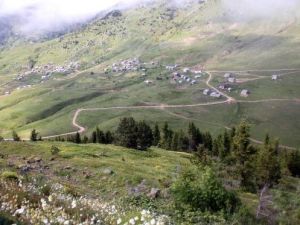 Karadeniz'in Yaylaları 'Yeşil Yol'la Bağlandı