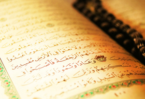 Hiç bilenlerle bilmeyenler bir olur mu?