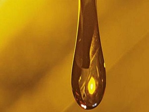 Atık yağlar engellilere umut oluyor