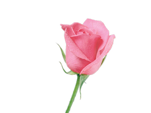 İnsanların sende görmesinden hoşlanmadığın şeyi...