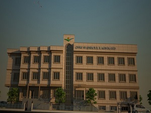 TSE ilk güvenli yeşil bina belgesini verdi