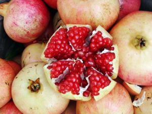 Tescilli Keben Narı Hasadı Başladı