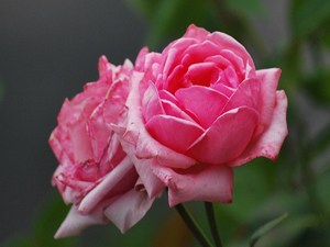 Nerde olursanız olun bana salavat getirin