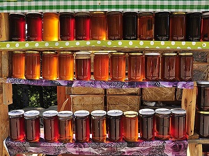 Meşe balı hastalıklardan korunma kalkanı