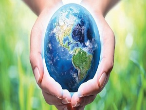 e-Faturayla 100 bin ağaç kurtuldu