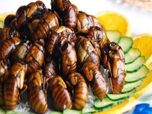 Kıtlığa mide bulandıran çözüm