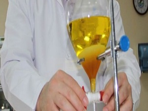 Tortum Gölünden biyodizel enerji üretilecek