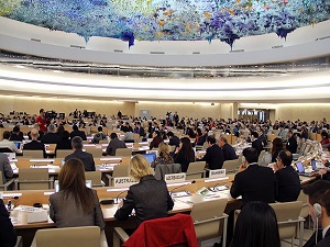 STK'lardan Türkiye'ye Mısır övgüsü