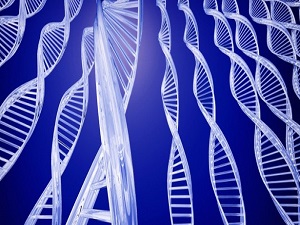 Gen tedavisinde umut veren gelişme