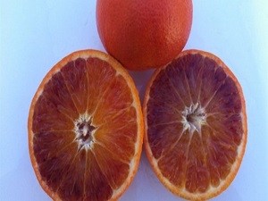 Dünyanın ağzının tadı değişecek